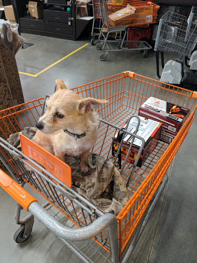 Kelly's Pet Grooming Service