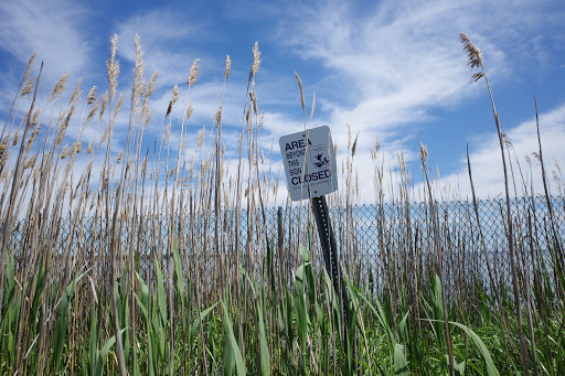 Seatuck National Wildlife Refuge image 6