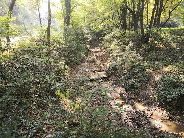 Parkoló - Barátkút - Esztergom