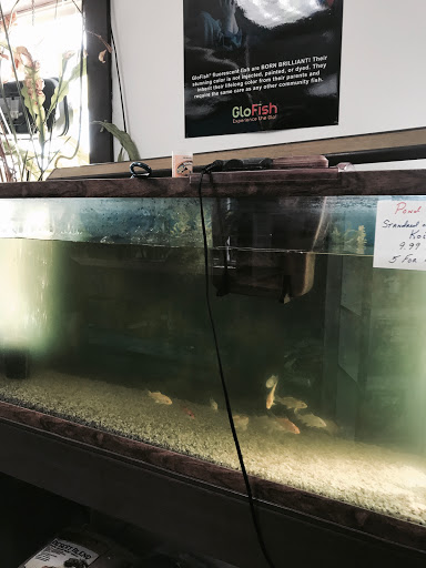 Tropical Fish Store «J B Tropical Fish», reviews and photos, 1950 N Black Horse Pike, Williamstown, NJ 08094, USA
