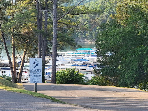 Marina «Mitchell Creek Marina», reviews and photos, 1260 Livingston Boat Dock Rd, Allons, TN 38541, USA