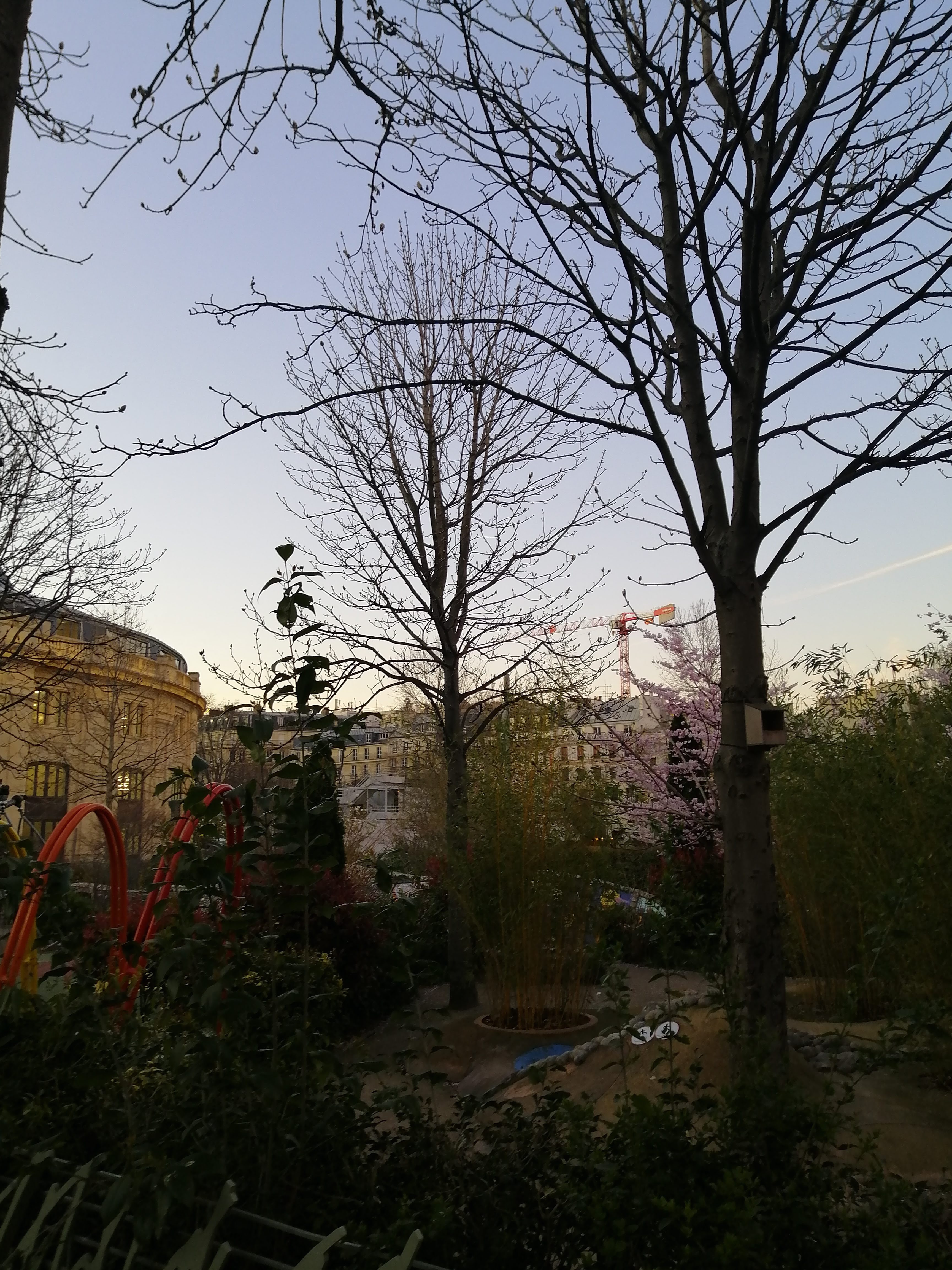 Photo n° 8 de l'avis de Davide.a fait le 17/03/2020 à 09:20