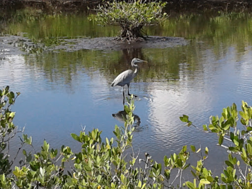 Community Center «Campbell Community Center», reviews and photos, 701 South St, Titusville, FL 32780, USA