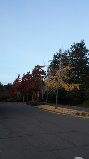 Sports Club «Rolling Hills Club», reviews and photos, 351 San Andreas Dr, Novato, CA 94945, USA