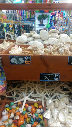 Swimwear Store «Wings Beachwear - Myrtle Beach # 024», reviews and photos, 5700 S Kings Hwy, Myrtle Beach, SC 29575, USA