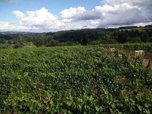 Winery «Raptor Ridge Winery», reviews and photos, 18700 SW Hillsboro Hwy, Newberg, OR 97132, USA