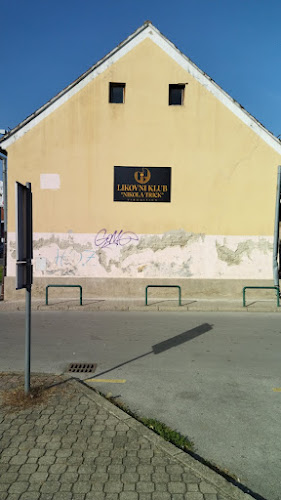 Likovni klub Nikola Trick - Liječnik