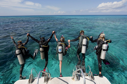 Opérateur touristique spécialisé dans les excursions de plongée sous-marine