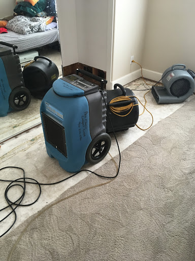 Pro clean carpet care