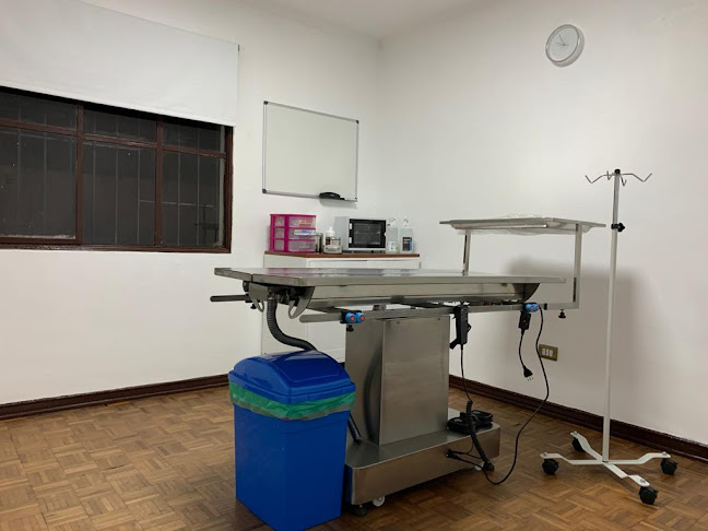 Opiniones de Clinica Veterinaria Onix en La Serena - Veterinario