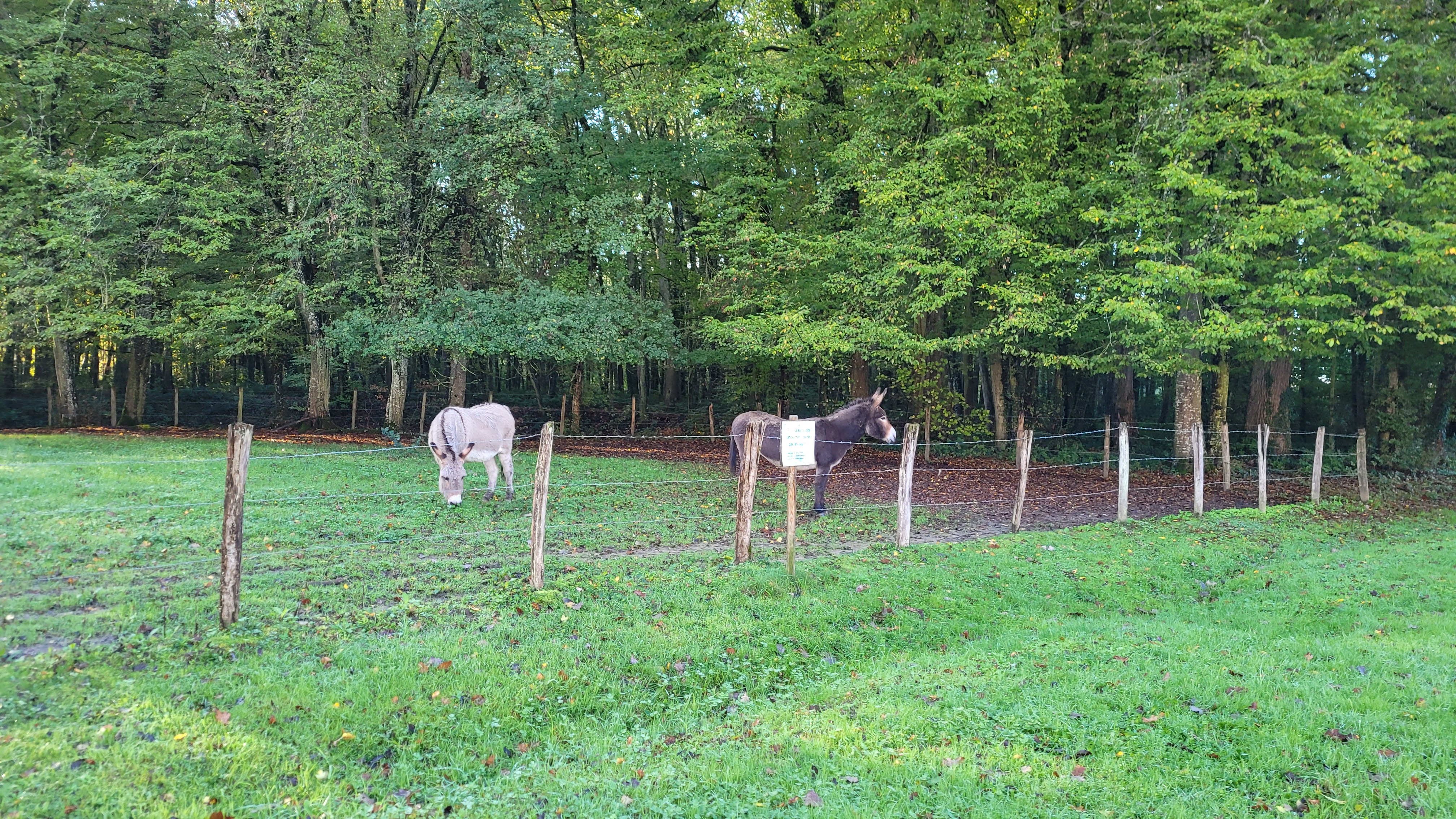 Photo n° 7 de l'avis de Alessandra.a fait le 13/11/2022 à 08:34