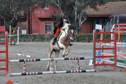 Associazione Sportiva Dilettantistica Kappa Equestre a Fiumicino