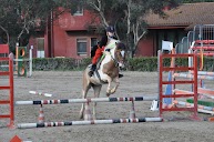 Associazione Sportiva Dilettantistica Kappa Equestre en Fiumicino