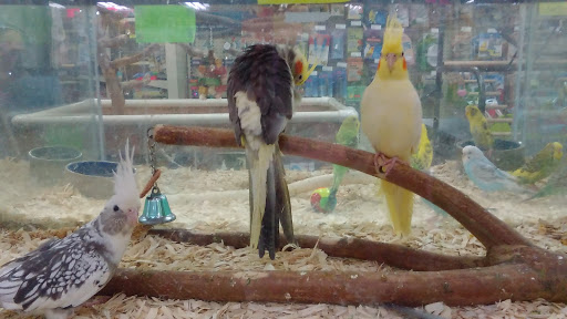 Pet Supply Store «Our Pet World», reviews and photos, 380 Semoran Commerce Pl, Apopka, FL 32703, USA