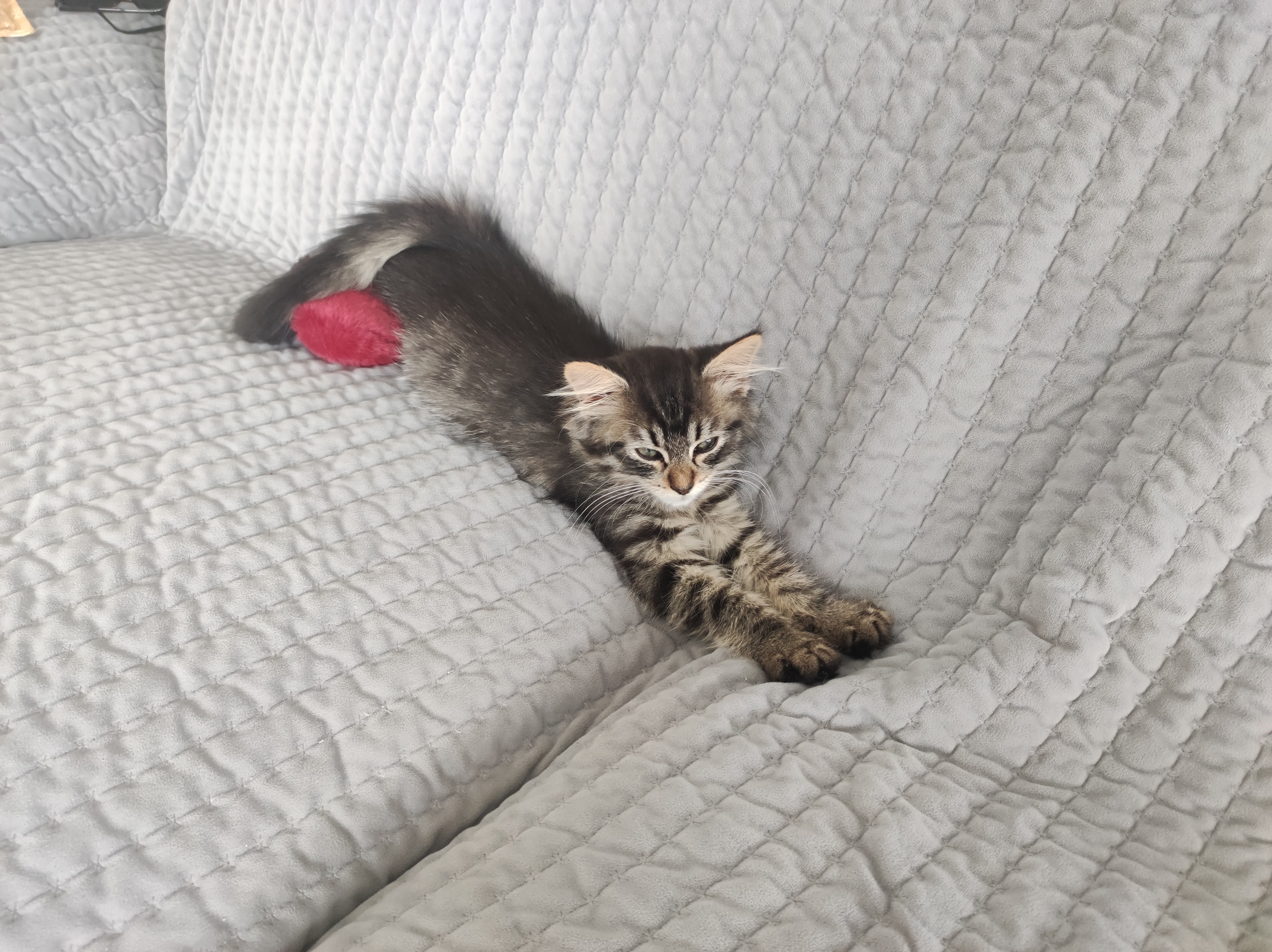 Photo n° 4 de l'avis de Alexandra. fait le 19/09/2023 à 18:14