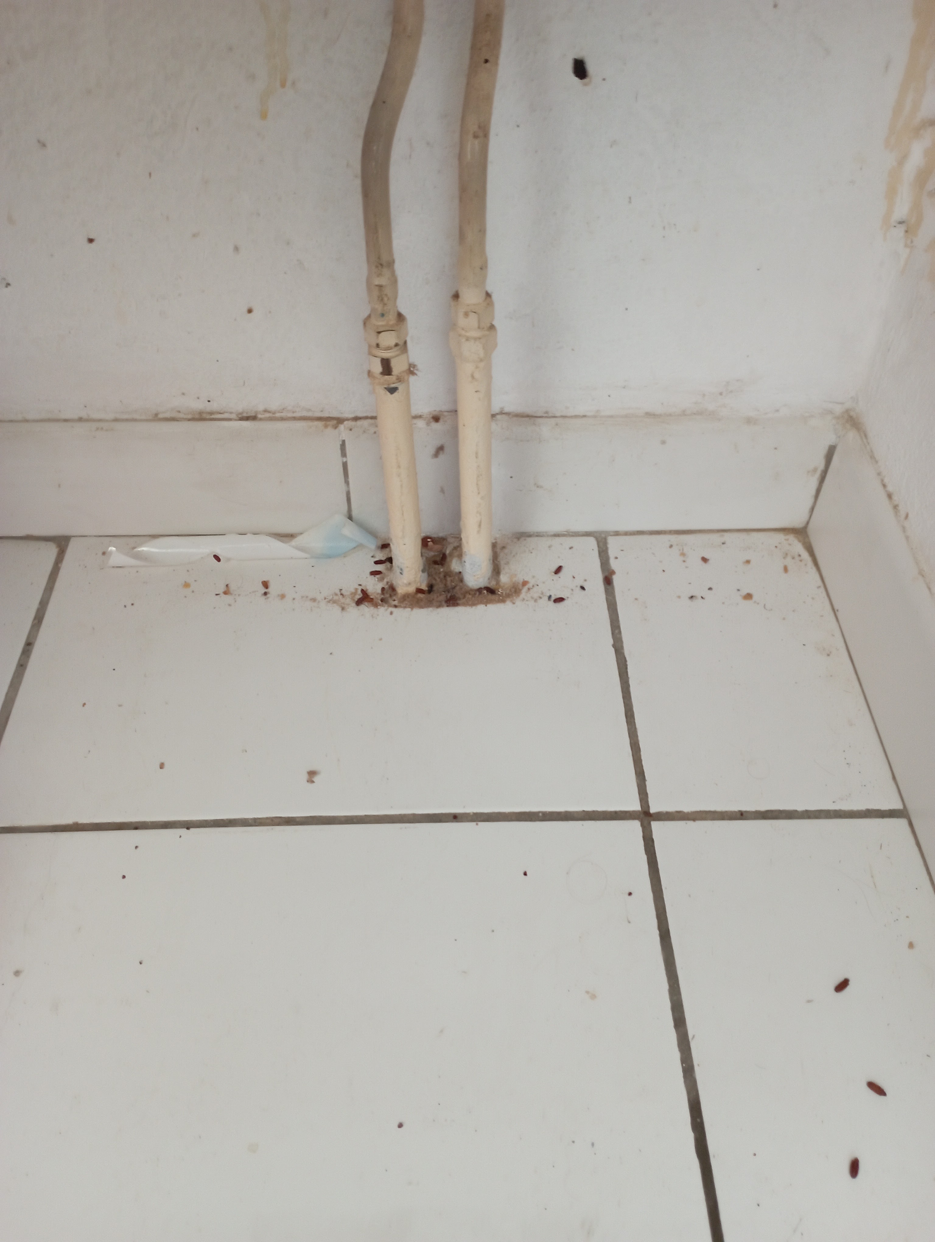 Photo n° 8 de l'avis de Hélène.i fait le 23/12/2022 à 13:33