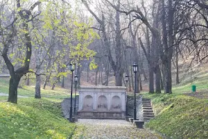 Kosutnjak forest image