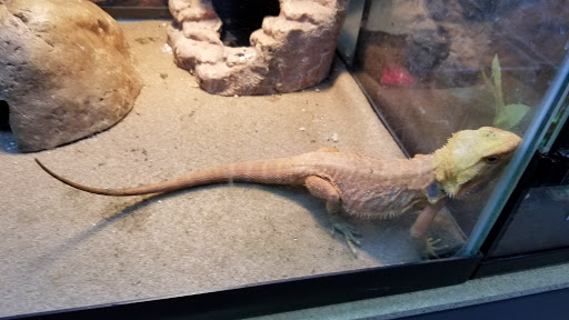Pet Store «Birds & Beasts Pet Shop», reviews and photos, 35 Berkshire Dr # 18, Crystal Lake, IL 60014, USA