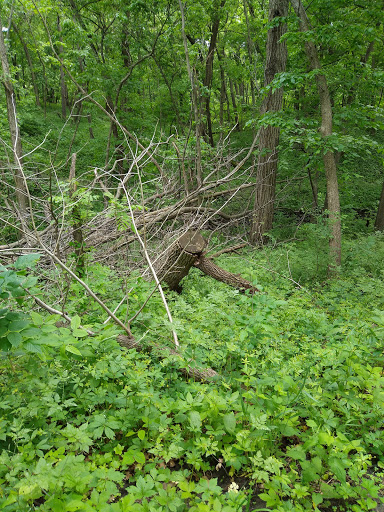 Park «Grandview Park», reviews and photos, 3230 Easton Blvd, Des Moines, IA 50317, USA