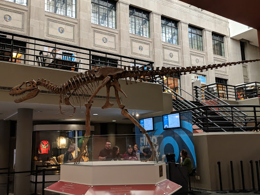 Science Museum «Buffalo Museum of Science», reviews and photos, 1020 Humboldt Pkwy, Buffalo, NY 14211, USA