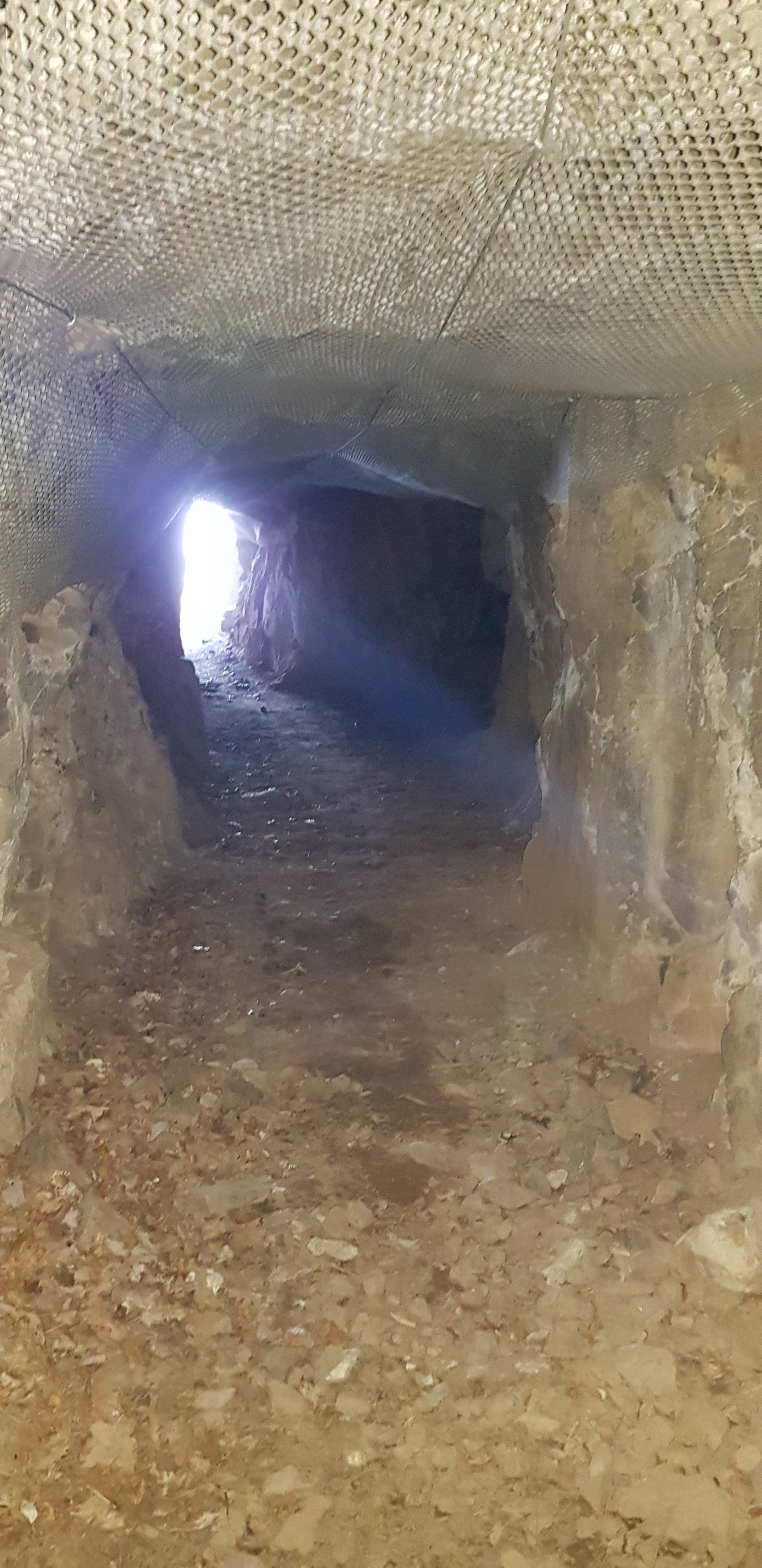 Photo n° 32 de l'avis de Alex.t fait le 22/03/2022 à 18:40