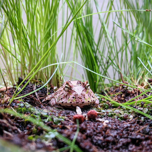 Tropical Fish Store «Sunset Pet & Supplies», reviews and photos, 1373 Sunset Blvd, Los Angeles, CA 90026, USA