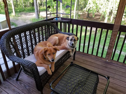 Insurance Agency «Chris Lerchen - State Farm Insurance Agent», reviews and photos