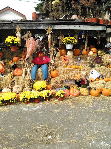 Produce Market «Hudson Farmers Market», reviews and photos, 3437 John F. Kennedy Blvd, Jersey City, NJ 07307, USA