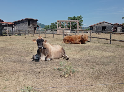 La Ferme Pédagogique de la Moulerette à Montpeyroux