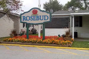 Rosebud image