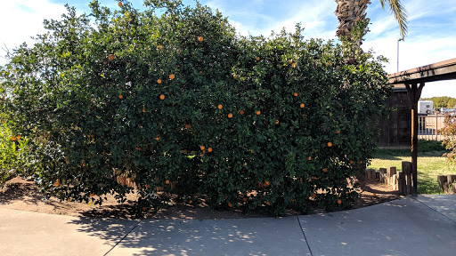 Produce Market «Orange Patch», reviews and photos, 2717 E Lehi Rd, Mesa, AZ 85213, USA