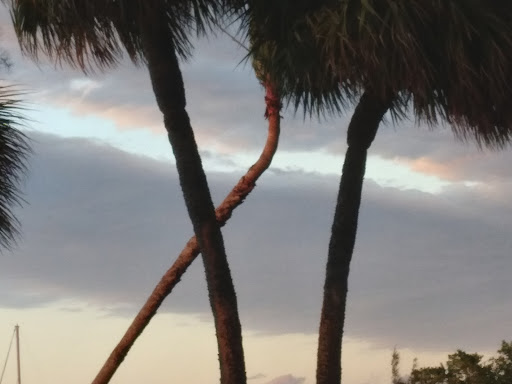 Aquarium «St. Lucie County Aquarium», reviews and photos, 420 Seaway Dr, Fort Pierce, FL 34949, USA