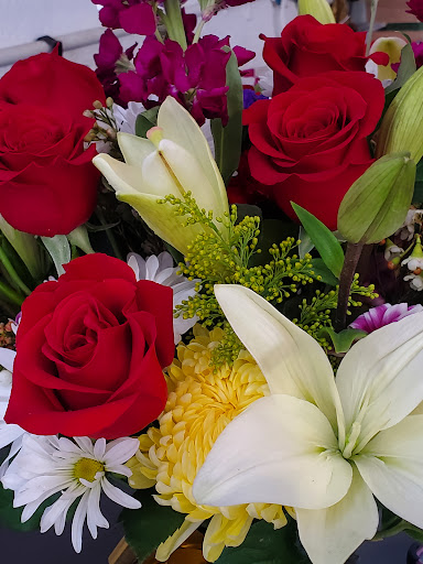 Manufacturer «Rosa & Rosas», reviews and photos, 2545 W 80th St #1, Hialeah, FL 33016, USA