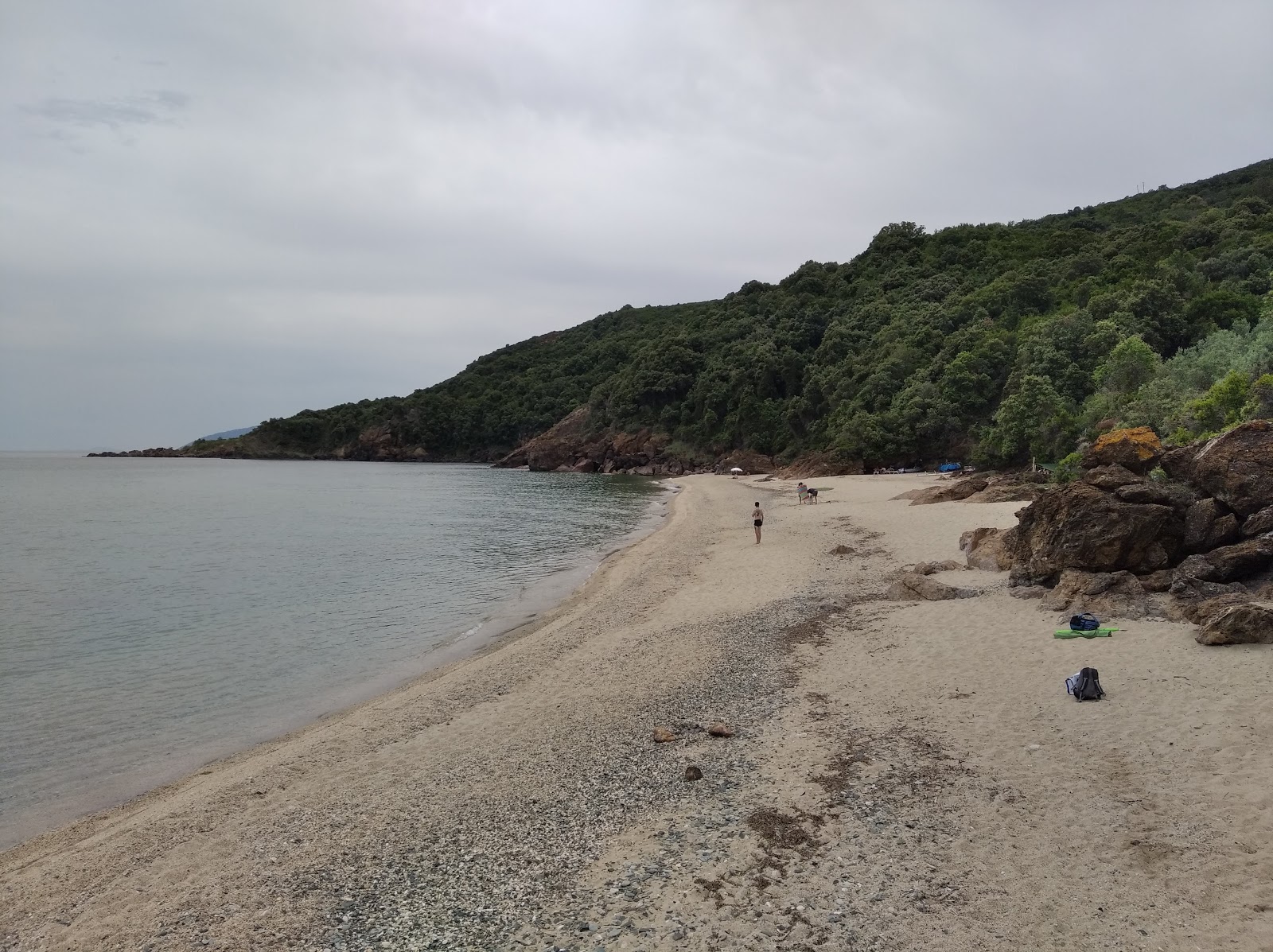 Photo de Rakopotamos naturist beach avec baie spacieuse