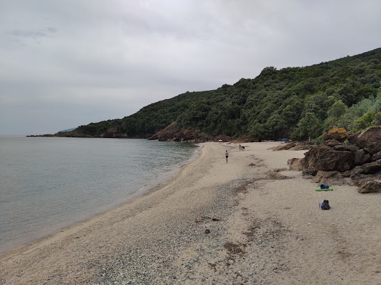 Rakopotamos naturist beach