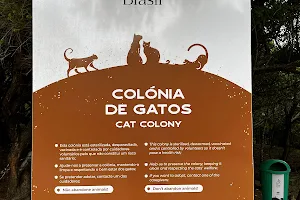 Cat Colony on Monte Brasil image
