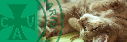 Clínica Veterinaria Ardila - Santiponce en Santiponce