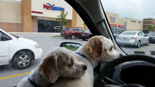 Pet Supply Store «PetSmart», reviews and photos, 181 Wilson Ave, Hanover, PA 17331, USA