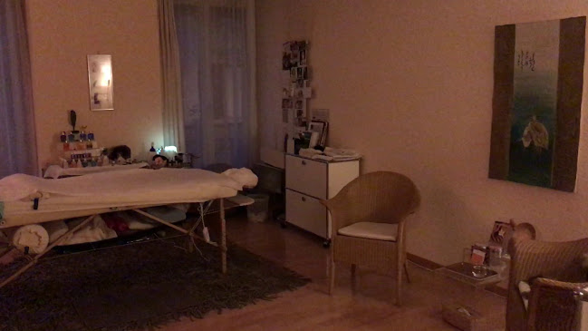 Praxis Zürich, Craniosacral Therapie, Shiatsu Massage Psychologische Beratung EFT Kreis 4 - Zürich