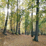 Photo n°6 de l'avis de Regina.n fait le 04/11/2023 à 18:06 sur le  Seehotel Ichlim à Lärz