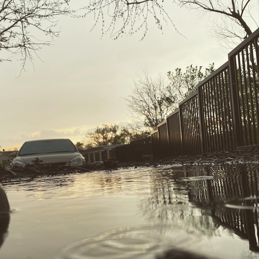 Nature Preserve «Spring Creek Forest Preserve», reviews and photos, 1770 Holford Rd, Garland, TX 75044, USA