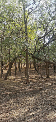 Park «McAllister Park», reviews and photos, 13102 Jones Maltsberger Rd, San Antonio, TX 78247, USA