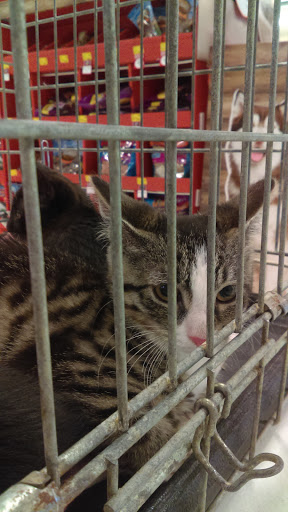 Pet Supply Store «PetSmart», reviews and photos, 111 Nassau Park Blvd, Princeton, NJ 08540, USA
