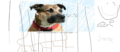 Pet Supply Store «Floppy Pets», reviews and photos, 6225 Stewart Rd, Galveston, TX 77551, USA