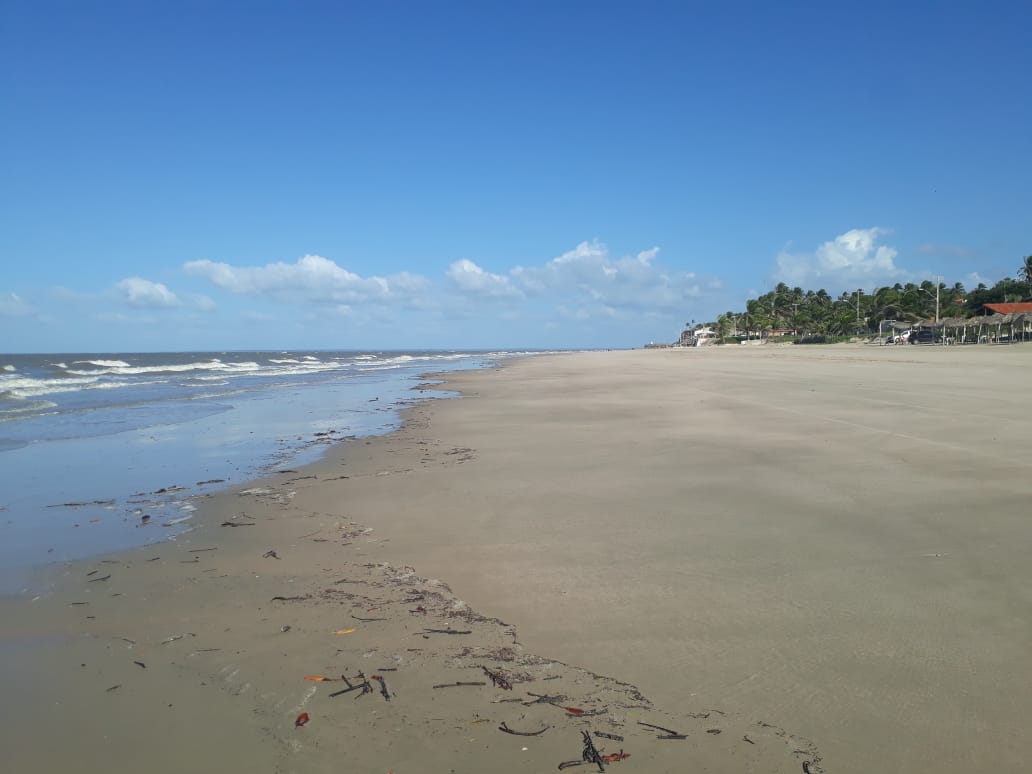 Praia do Panaquatira的照片 带有明亮的沙子表面