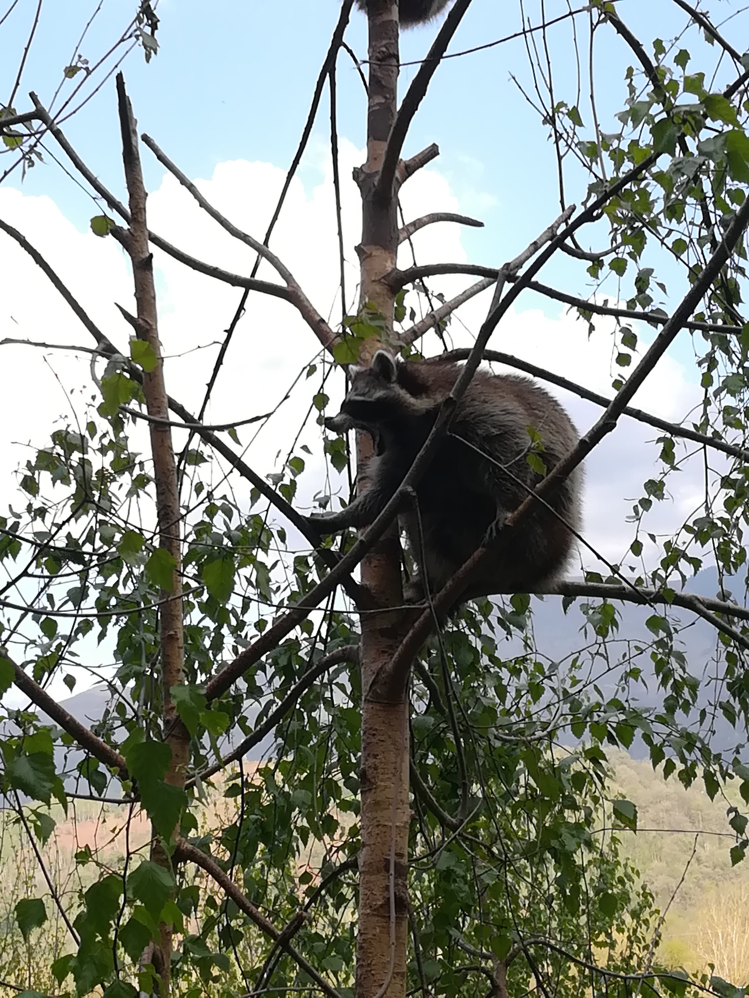 Photo n° 12 de l'avis de Sarah.L fait le 21/04/2018 à 18:44