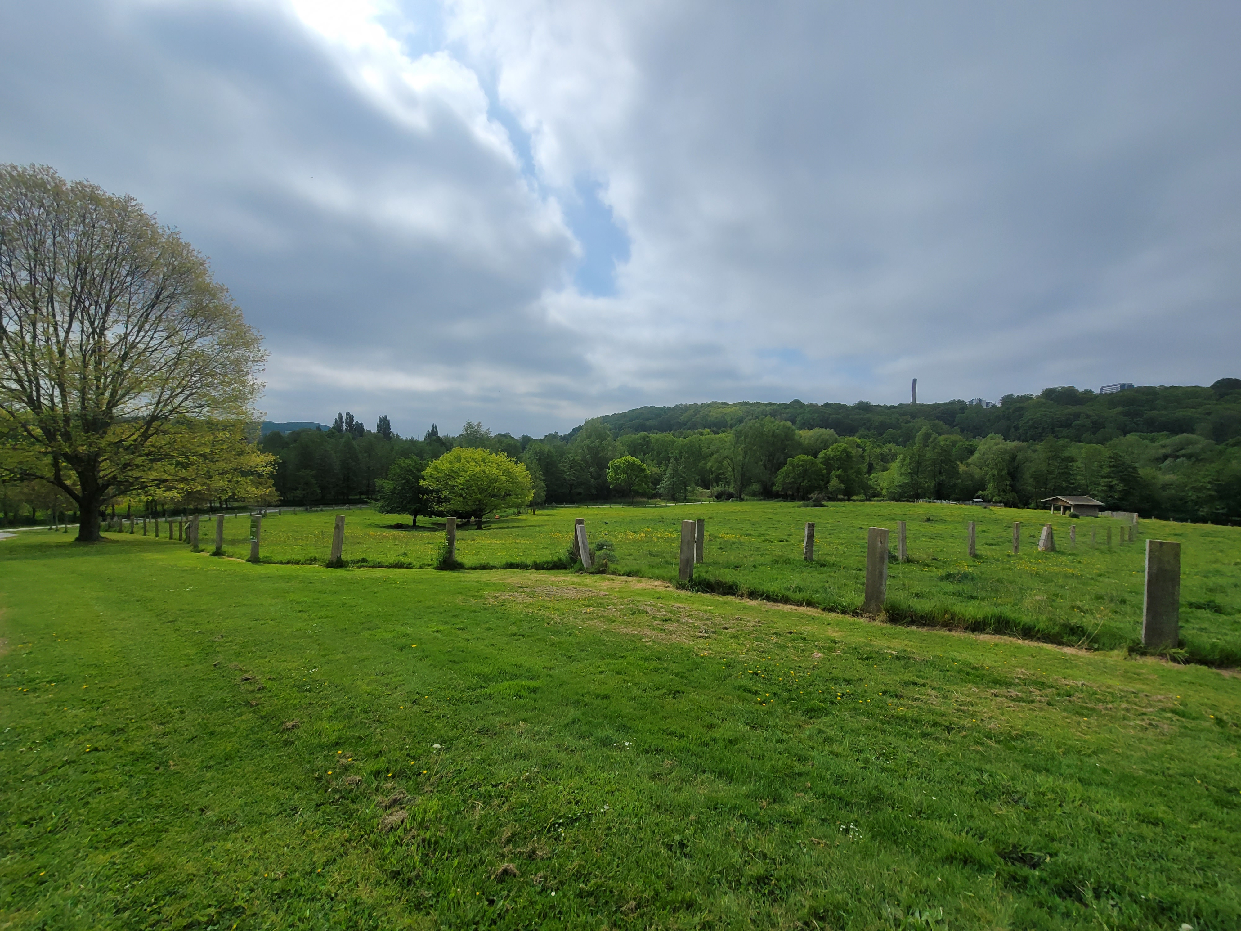Photo n° 7 de l'avis de rithraingsey.e fait le 08/05/2022 à 13:02