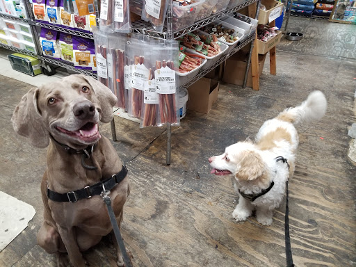 Pet Supply Store «Spoiled Brats», reviews and photos, 4 Bennett Ave, New York, NY 10033, USA