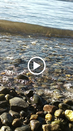 Grocery Store «Albertsons», reviews and photos, 8196 NE State Hwy 104, Kingston, WA 98346, USA