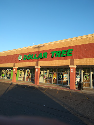 Dollar Tree, 550 Commack Rd, Deer Park, NY 11729, USA, 